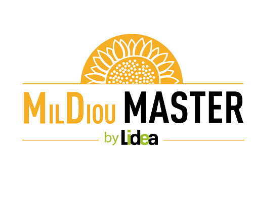 Mildiou MASTER : la réponse génétique de LIDEA pour une lutte durable contre le mildi